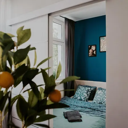 Lemon Tree Sw Ducha