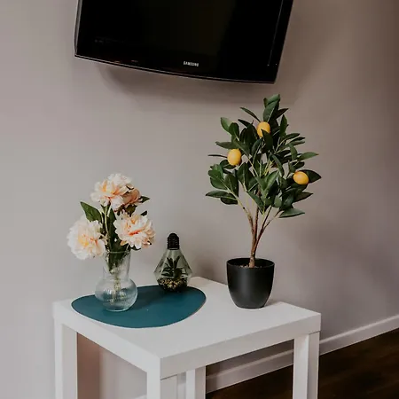 Lemon Tree Sw Ducha Apartment *