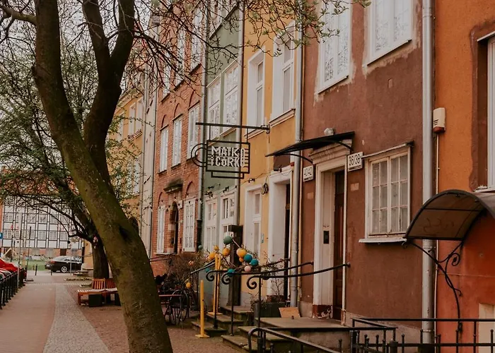 Lemon Tree Sw Ducha *