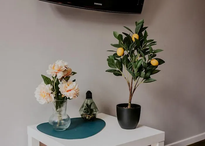 Lemon Tree Sw Ducha Apartment *